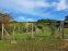 Kaufen Baugrundstück Erholung, Baugrundstück Erholung, Fajgalská cesta