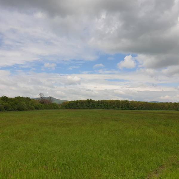 Kaufen landwirtsch. Grundstücke, landwirtsch. Grundstücke, Trnava, Slo