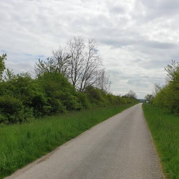 Kaufen landwirtsch. Grundstücke, landwirtsch. Grundstücke, Pezinok, Sl