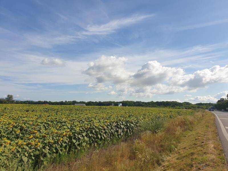 Kaufen landwirtsch. Grundstücke, landwirtsch. Grundstücke, Senecká ces