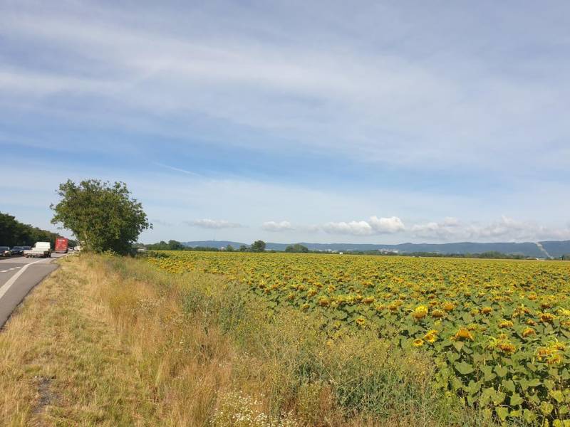 Kaufen landwirtsch. Grundstücke, landwirtsch. Grundstücke, Senecká ces