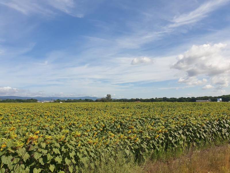 Kaufen landwirtsch. Grundstücke, landwirtsch. Grundstücke, Senecká ces