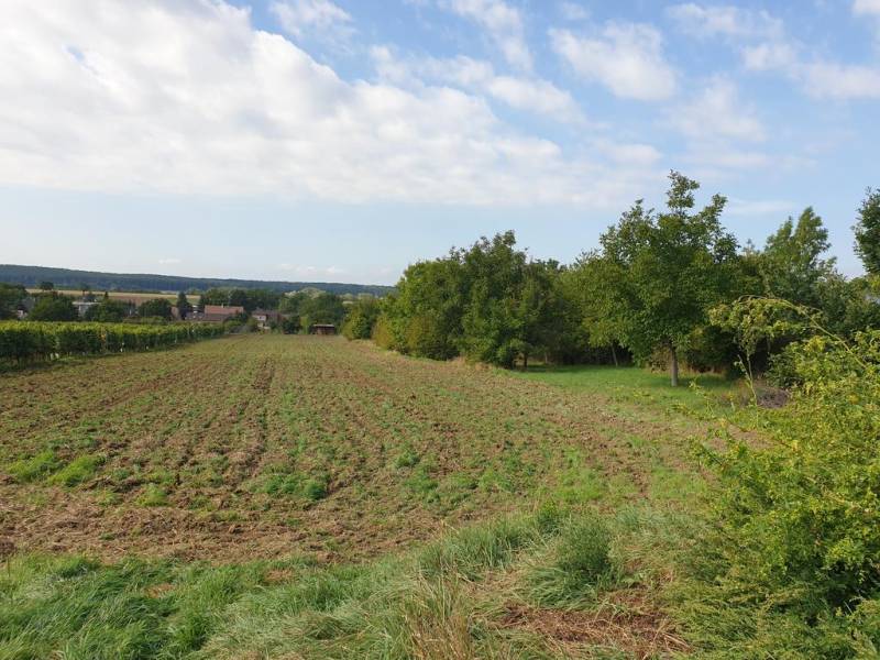 Kaufen Baugrund, Baugrund, Pezinok, Slowakei