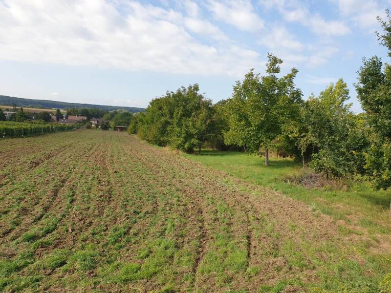 Kaufen Baugrund, Baugrund, Pezinok, Slowakei