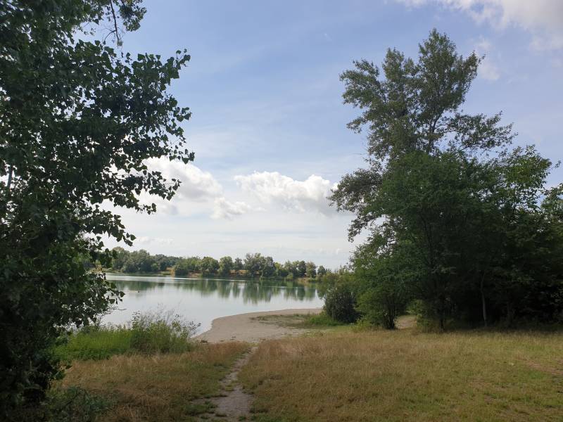 Kaufen landwirtsch. Grundstücke, landwirtsch. Grundstücke, Hviezdoslav