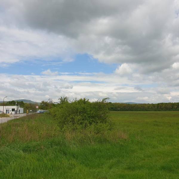 Kaufen landwirtsch. Grundstücke, landwirtsch. Grundstücke, Pezinok, Sl