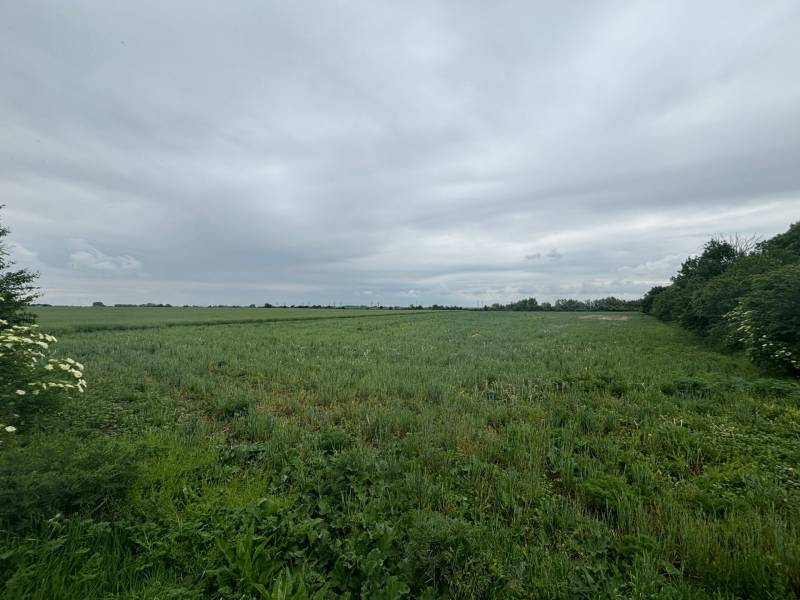 Kaufen landwirtsch. Grundstücke, landwirtsch. Grundstücke, Pezinok, Sl