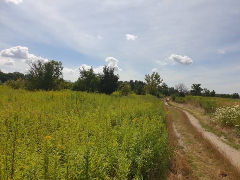 Kaufen landwirtsch. Grundstücke, landwirtsch. Grundstücke, Hviezdoslav