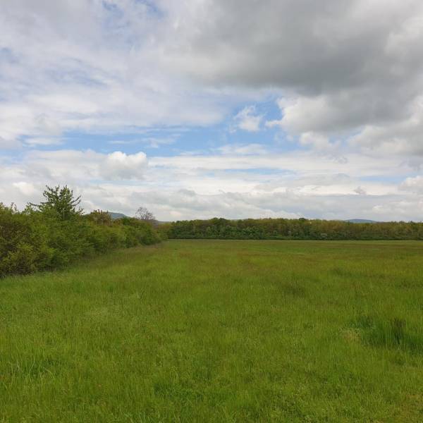 Kaufen landwirtsch. Grundstücke, landwirtsch. Grundstücke, Pezinok, Sl