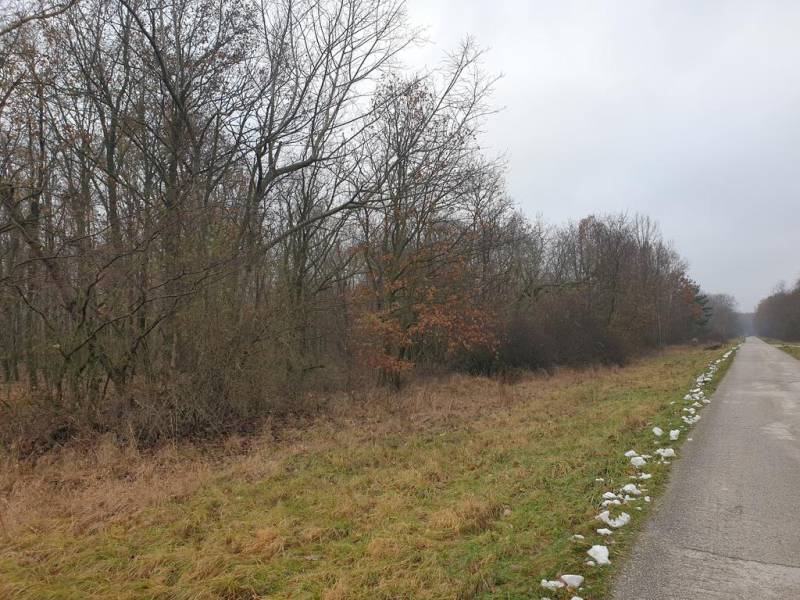 Kaufen landwirtsch. Grundstücke, landwirtsch. Grundstücke, Pezinok, Sl