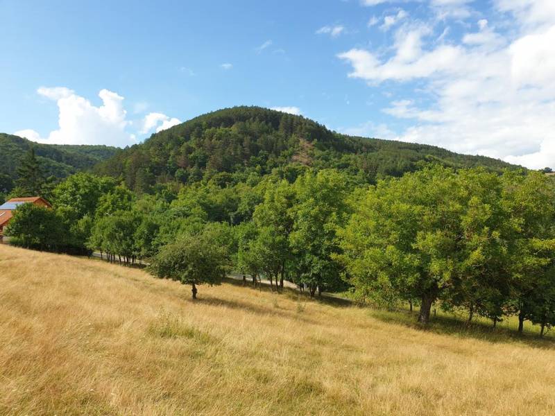 Kaufen landwirtsch. Grundstücke, landwirtsch. Grundstücke, Piešťany, S