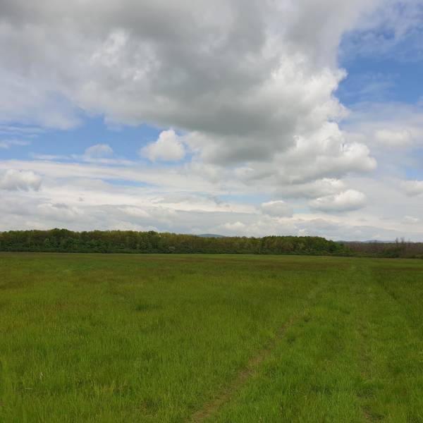 Kaufen landwirtsch. Grundstücke, landwirtsch. Grundstücke, Budmerice, 