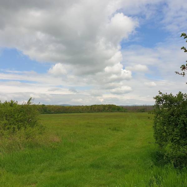 Kaufen landwirtsch. Grundstücke, landwirtsch. Grundstücke, Pezinok, Sl