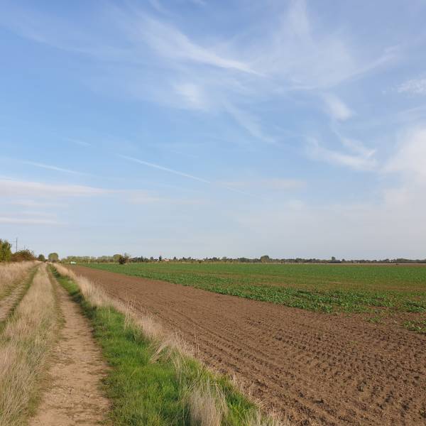 Kaufen landwirtsch. Grundstücke, landwirtsch. Grundstücke, Pezinok, Sl