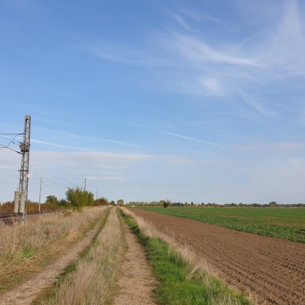 Kaufen landwirtsch. Grundstücke, landwirtsch. Grundstücke, Pezinok, Sl