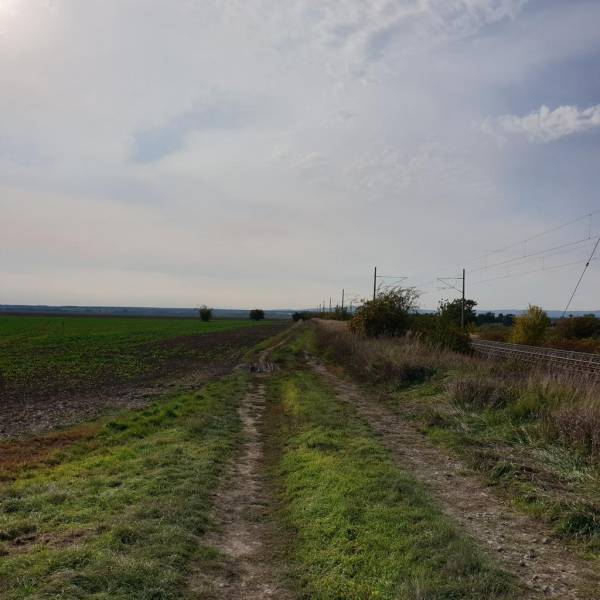 Kaufen landwirtsch. Grundstücke, landwirtsch. Grundstücke, Pezinok, Sl