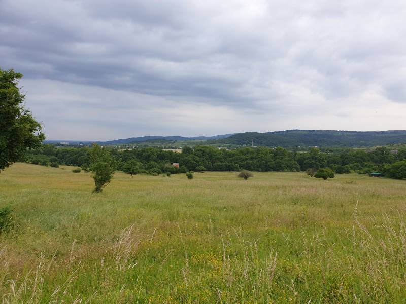 Kaufen landwirtsch. Grundstücke, landwirtsch. Grundstücke, Trnava, Slo