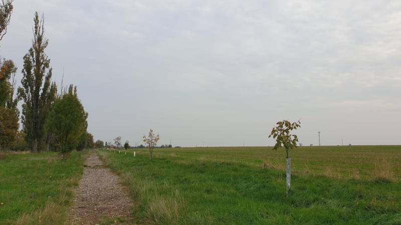 Kaufen landwirtsch. Grundstücke, landwirtsch. Grundstücke, Pod kašteľo