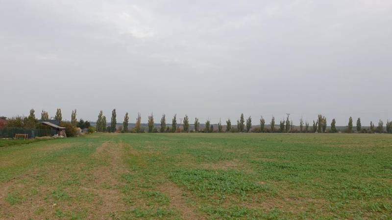 Kaufen landwirtsch. Grundstücke, landwirtsch. Grundstücke, Pod kašteľo