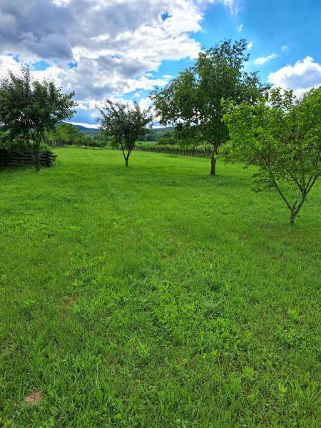 Kaufen Garten, Garten, Doľany, Pezinok, Slowakei
