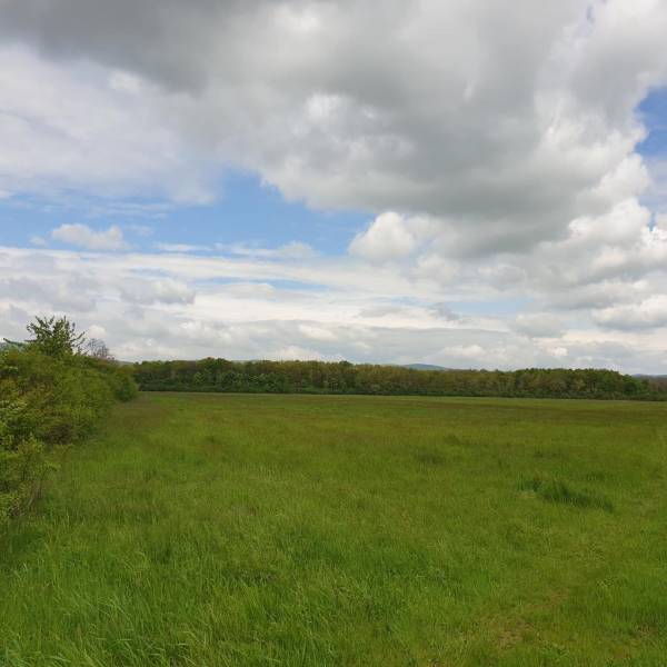 Suche landwirtsch. Grundstücke, landwirtsch. Grundstücke, Senec, Slowa
