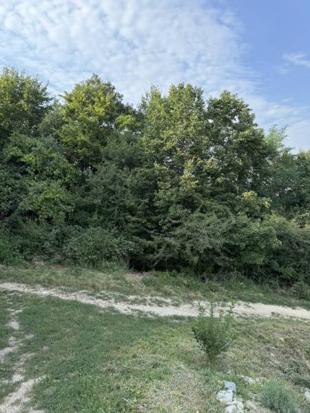 Kaufen Baugrund, Baugrund, Frankovská, Bratislava - Nové Mesto, Slowak