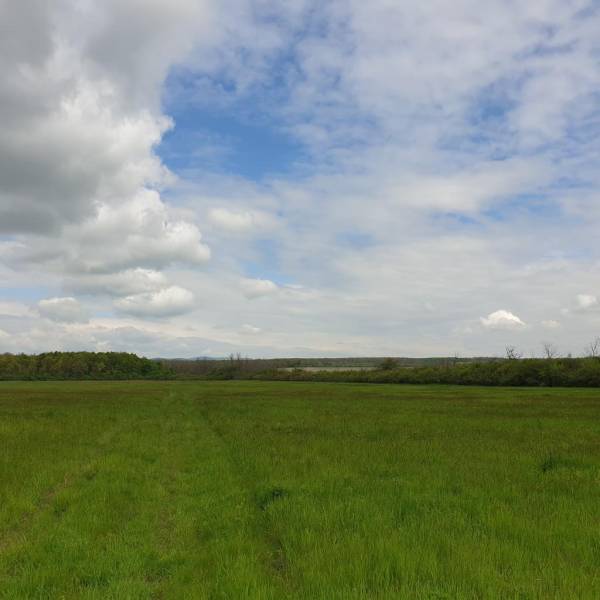 Kaufen landwirtsch. Grundstücke, landwirtsch. Grundstücke, Pezinok, Sl