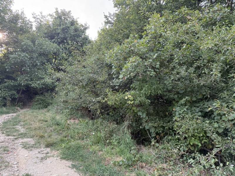 Kaufen Baugrund, Baugrund, Frankovská, Bratislava - Nové Mesto, Slowak