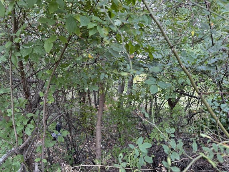 Kaufen Baugrund, Baugrund, Frankovská, Bratislava - Nové Mesto, Slowak