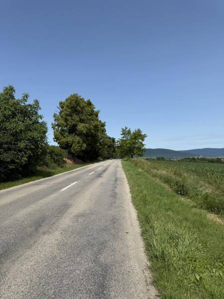 Kaufen landwirtsch. Grundstücke, landwirtsch. Grundstücke, Trnava, Slo
