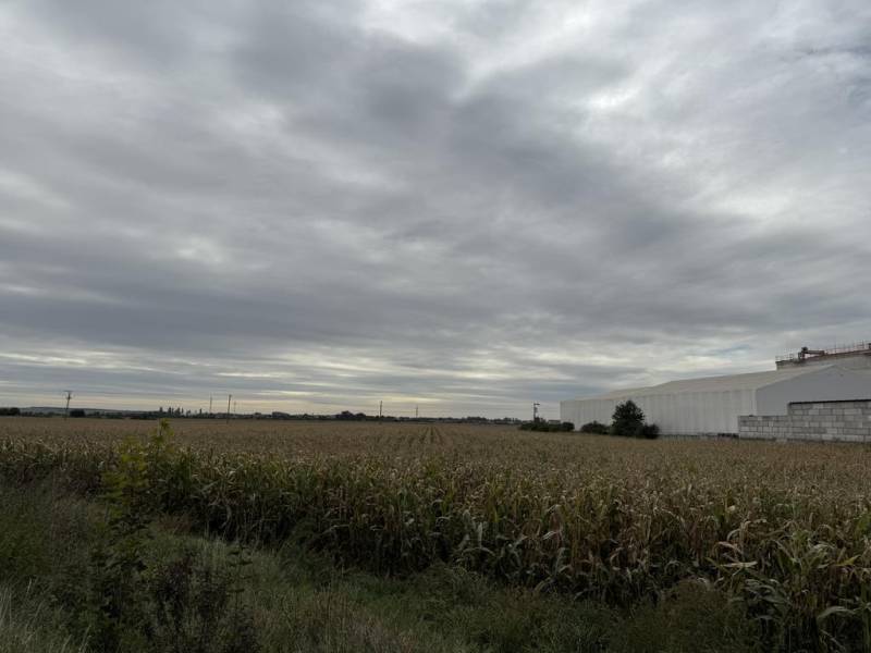 Kaufen landwirtsch. Grundstücke, landwirtsch. Grundstücke, Pezinok, Sl