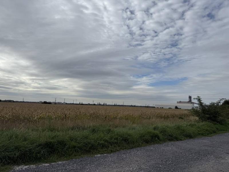 Kaufen landwirtsch. Grundstücke, landwirtsch. Grundstücke, Pezinok, Sl