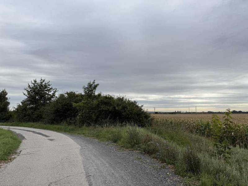 Kaufen landwirtsch. Grundstücke, landwirtsch. Grundstücke, Pezinok, Sl