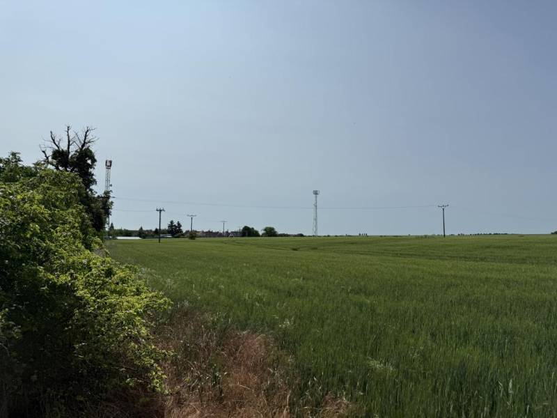 Kaufen landwirtsch. Grundstücke, landwirtsch. Grundstücke, Trnava, Slo