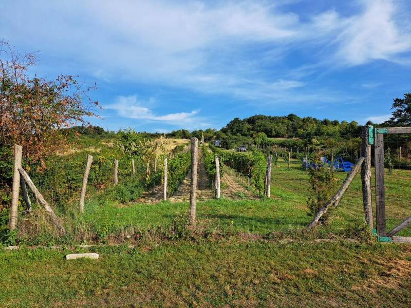 Kaufen Baugrundstück Erholung, Baugrundstück Erholung, Fajgalská cesta