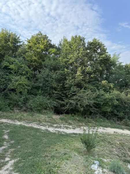 Kaufen Baugrund, Baugrund, Frankovská, Bratislava - Nové Mesto, Slowak