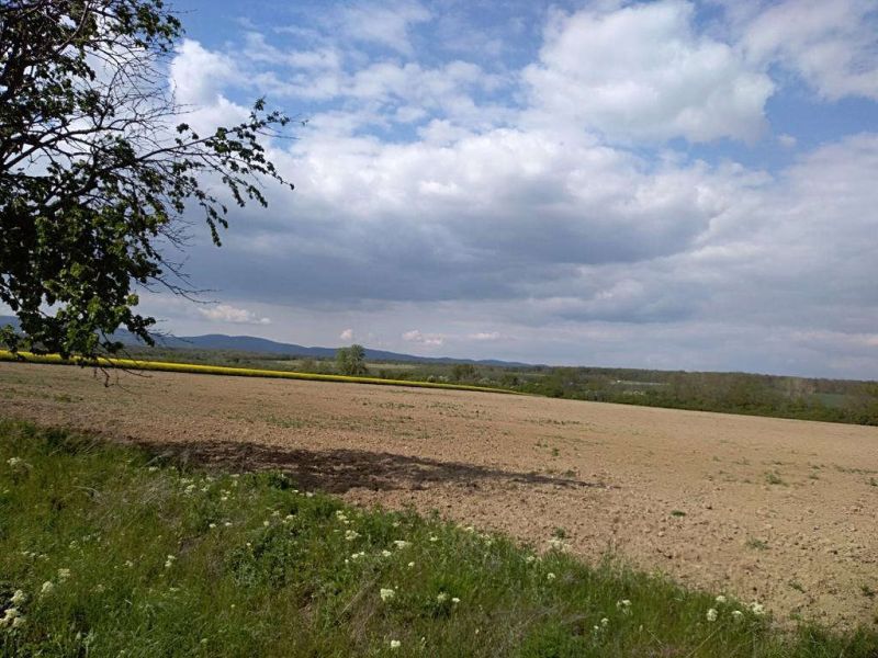 Suche Industriegrund, Industriegrund, Galanta, Slowakei