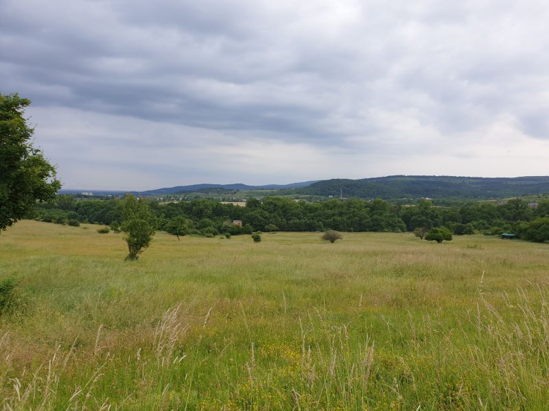 Kaufen landwirtsch. Grundstücke, landwirtsch. Grundstücke, Kučišdorfsk
